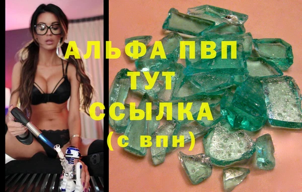спайс Ростов