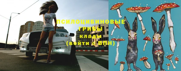 дмт Армянск