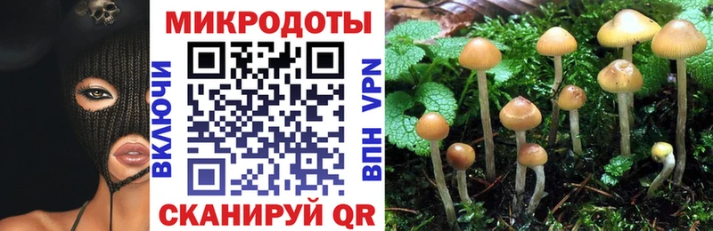 Псилоцибиновые грибы GOLDEN TEACHER  omg tor  Лянтор 